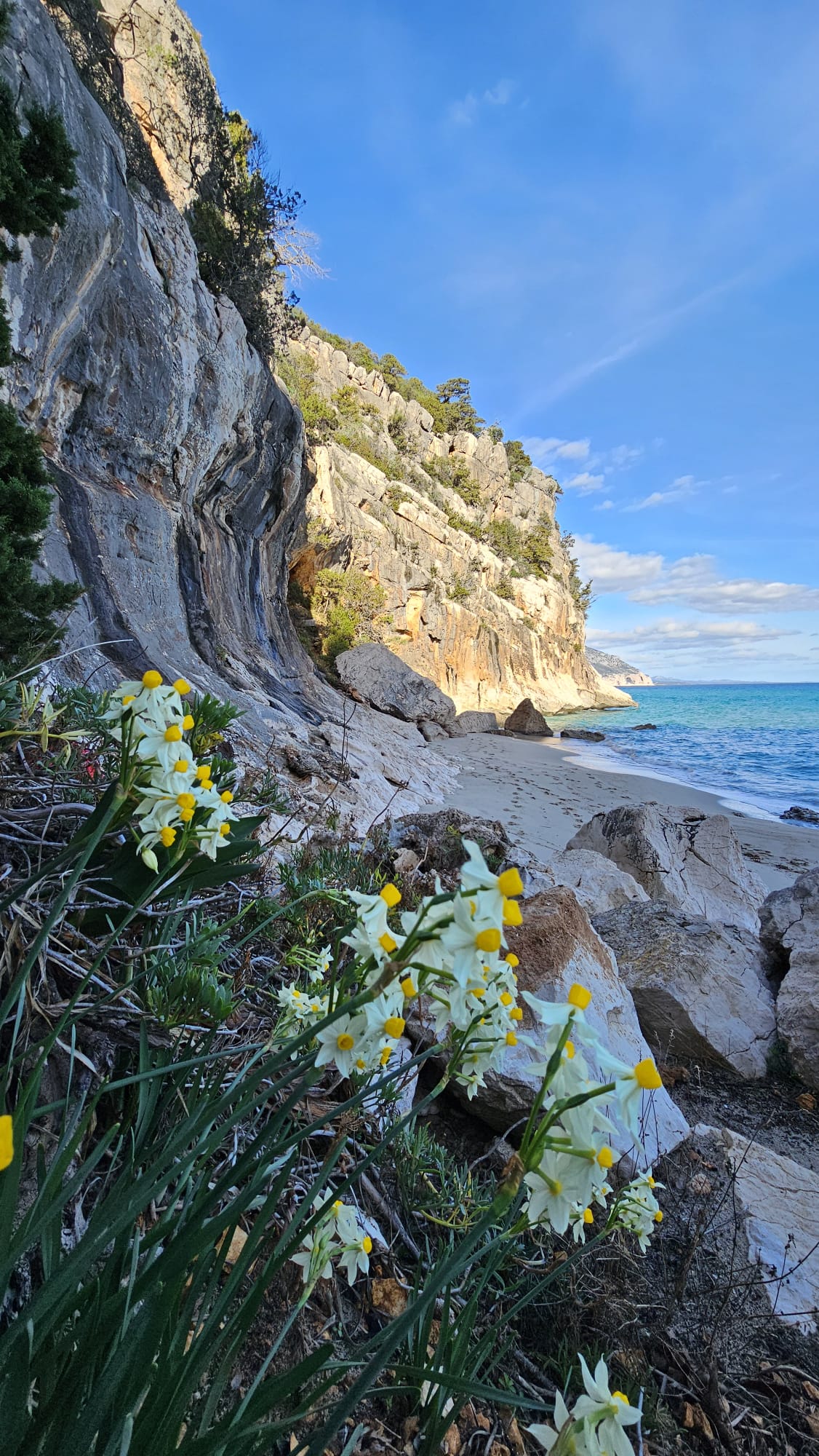 Trekking Cala Luna